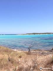 Spiaggia di Piantarella - Piaghja di Piantaredda