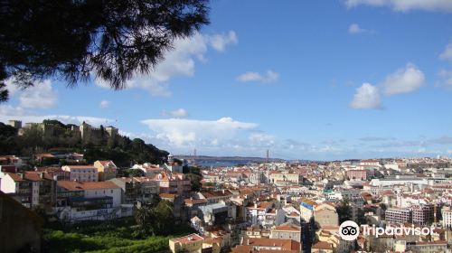 Miradouro da Graça