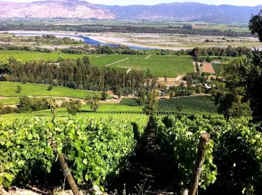 Curico Province