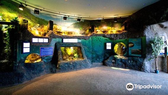 SEA LIFE Loch Lomond Aquarium