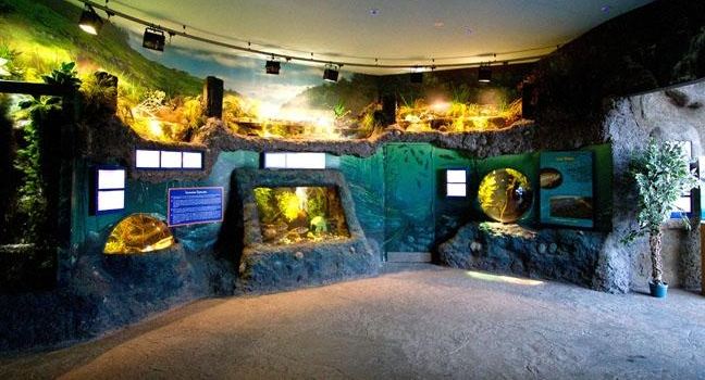 SEA LIFE Loch Lomond Aquarium