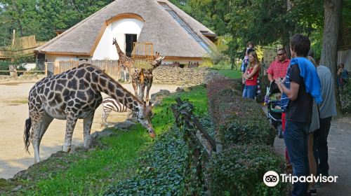 Zoo and Chateau Zlin-Lesna
