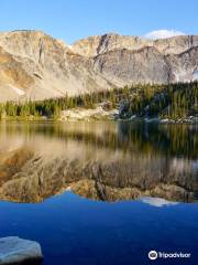 Medicine Bow-Routt National Forest