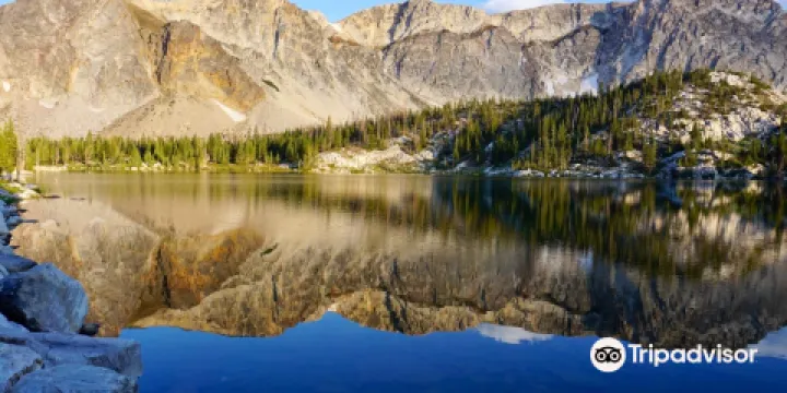 Medicine Bow-Routt National Forest