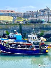 The Northumberland Coast Area of Outstanding Natural Beauty