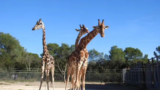 Parc Zoologique Henri de Lunaret