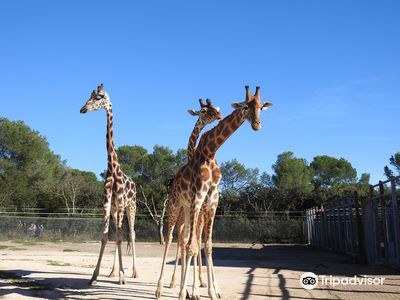 Montpellier Zoological Park