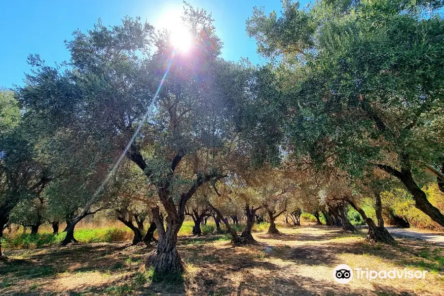 The Betekha, Bethsaida, Majrase and Zaki Nature Reserve