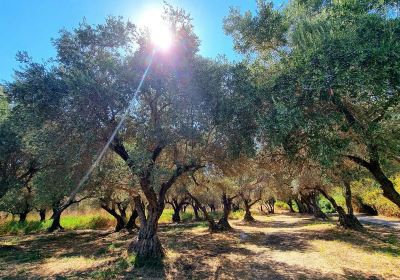 Ezor Hadera