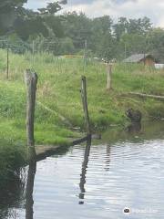 Hafen Waldschlösschen Schimmank GbR