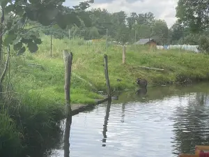 Hafen Waldschloesschen