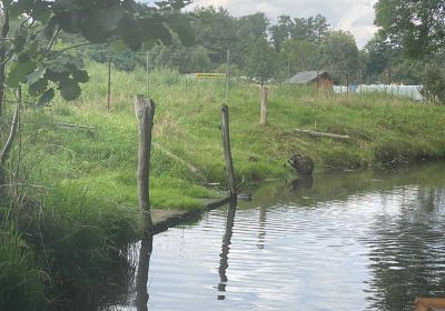 Hafen Waldschloesschen