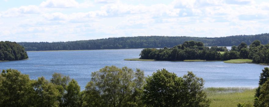 Zemaitija Park Forest