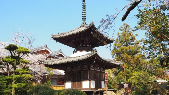 吉田寺