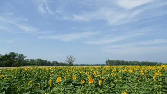 Columbia Bottom Conservation Area