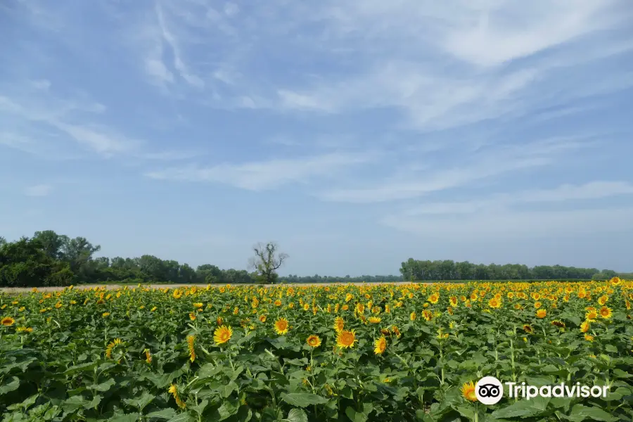 Columbia Bottom Conservation Area