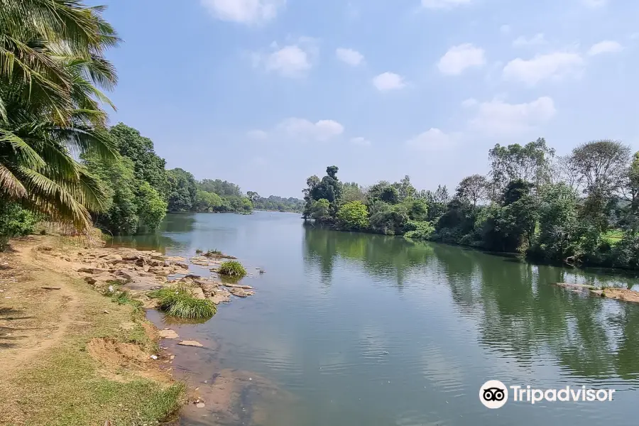 Cauvery River