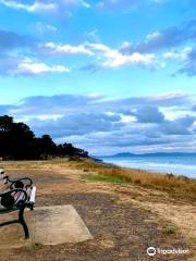 Spiky Beach Conservation Area