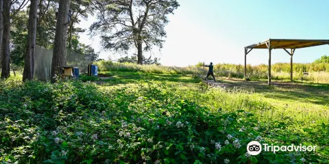 Insight Activities （Dorset）