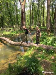 Wolf Creek National Fish Hatchery Visitor And Environmental Education Center