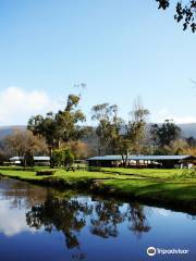 Buxton Trout & Salmon Farm