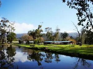 Buxton Trout & Salmon Farm