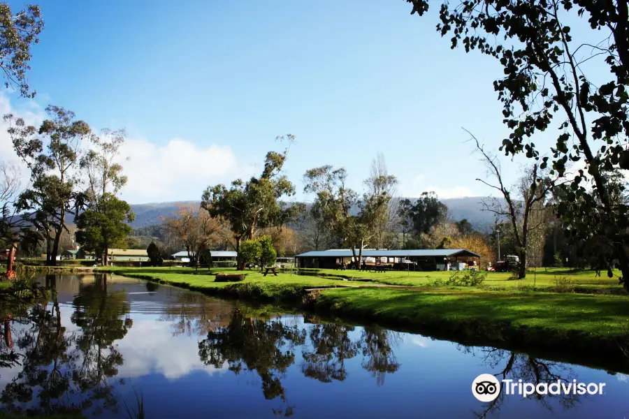 Buxton Trout & Salmon Farm