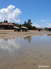 Yubu Island Water Buffalo Cart