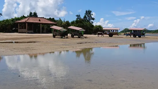 Yubu Island Water Buffalo Cart