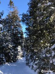 Ski de fond et raquette Estérel (Hors Limite)