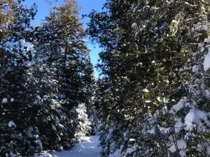 Ski de fond et raquette Estérel (Hors Limite)