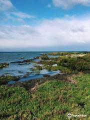 Jawbone Flora and Fauna Reserve