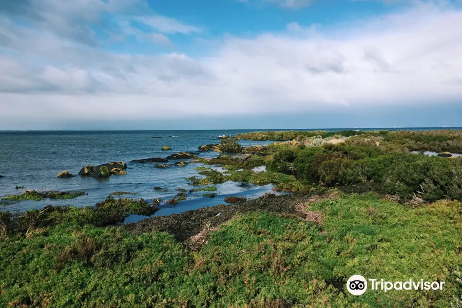 Jawbone Flora and Fauna Reserve