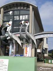 Izumi Crane Observation Centre