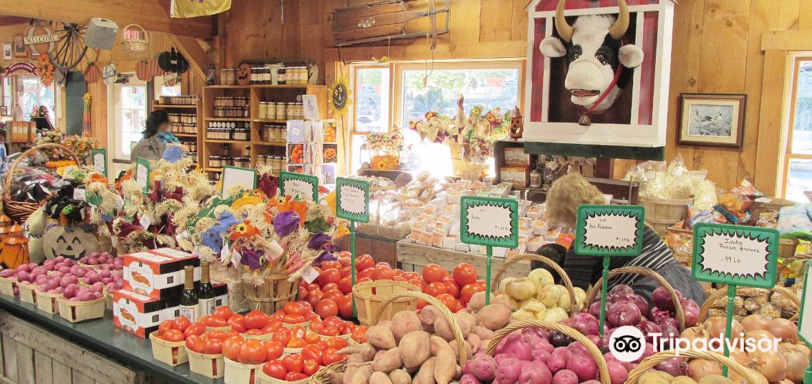 Things to Do in Woodcliff Lake in 2024 Top Attractions, Local Food