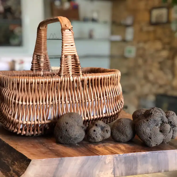 فنادق في Saint-Cyprien-sur-Dourdou