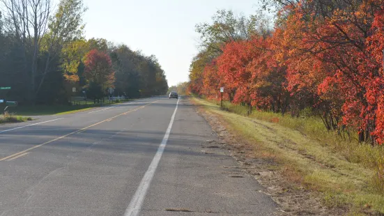 Lake Carlos State Park