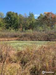 Brown's Lake Bog Preserve