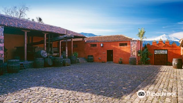 Casa Del Vino de Tenerife