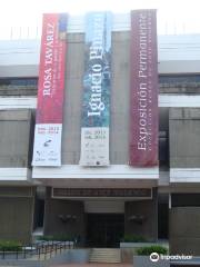 Museo de Arte Moderno