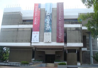 Modern Art Museum (Museo de Arte Moderno)