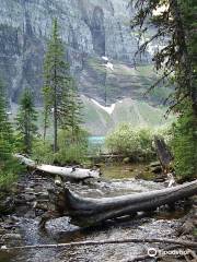 Wall Lake Hike