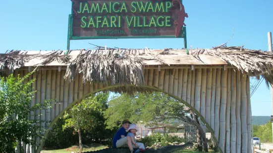 Jamaica Swamp Safari Village