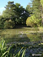 Alderwood Ponds