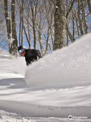 Hakuba Snow Sports School