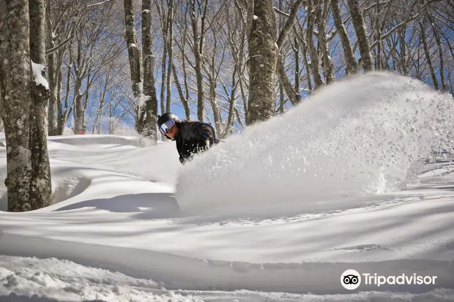 Hakuba Snow Sports School