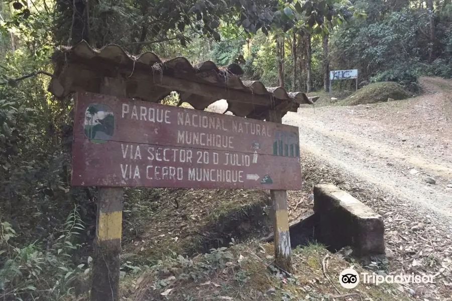 Parque Nacional Natural Munchique