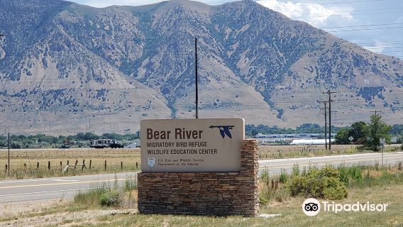 Bear River Migratory Bird Refuge Center