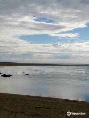 Wild Cattle Island National Park