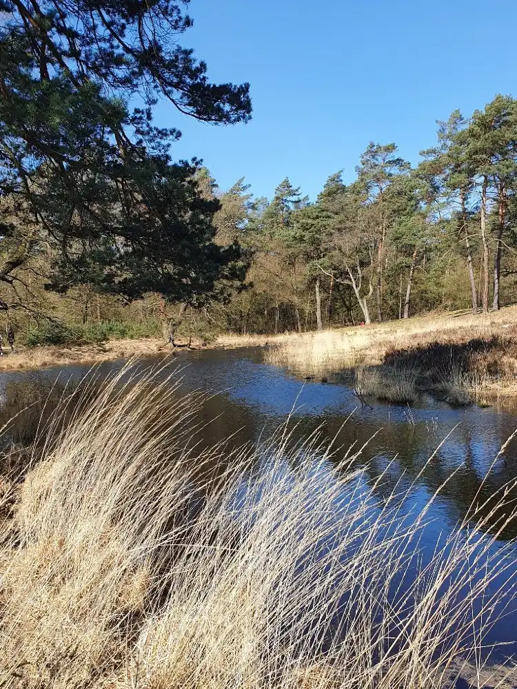 Hotels in der Nähe von Wahner Heide